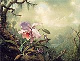 Martin Johnson Heade Canvas Paintings - Heliodore's Woodstar and a Pink Orchid